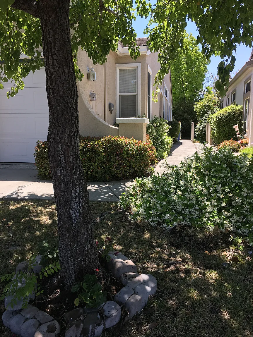 479 Summer Red Way photo 1