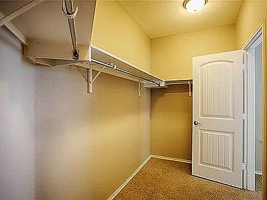1101 Amazon Lilly Cv — Photo 24