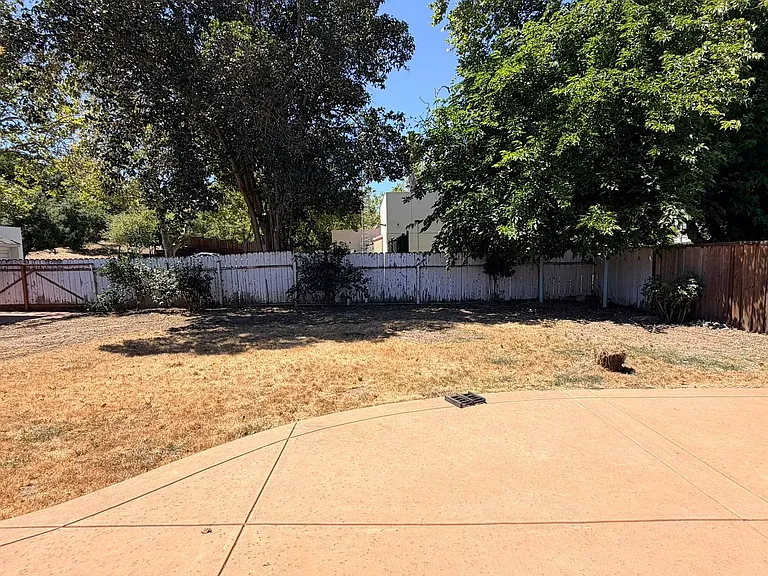 5308 Lightwood Dr — Photo 20