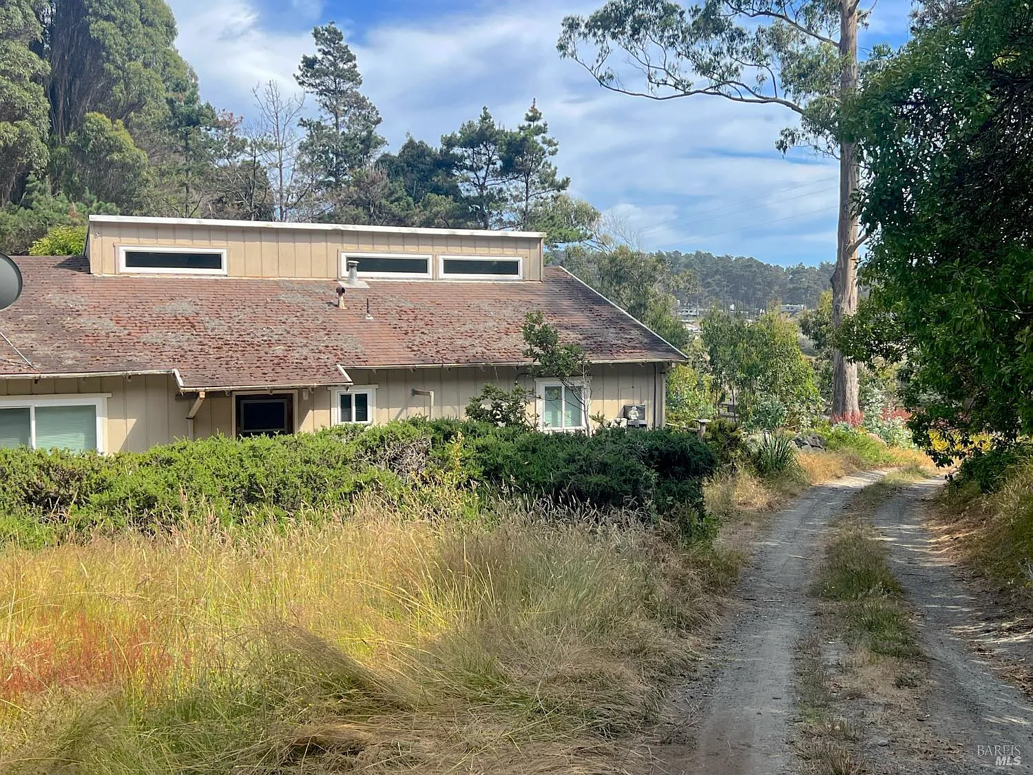 23285 Highway 1 - Photo 6