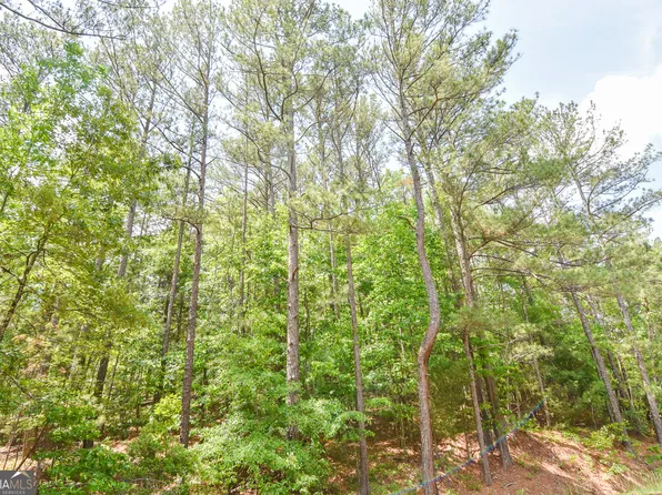 0 Skelton Rd Lot 1, Thomaston, GA 30286