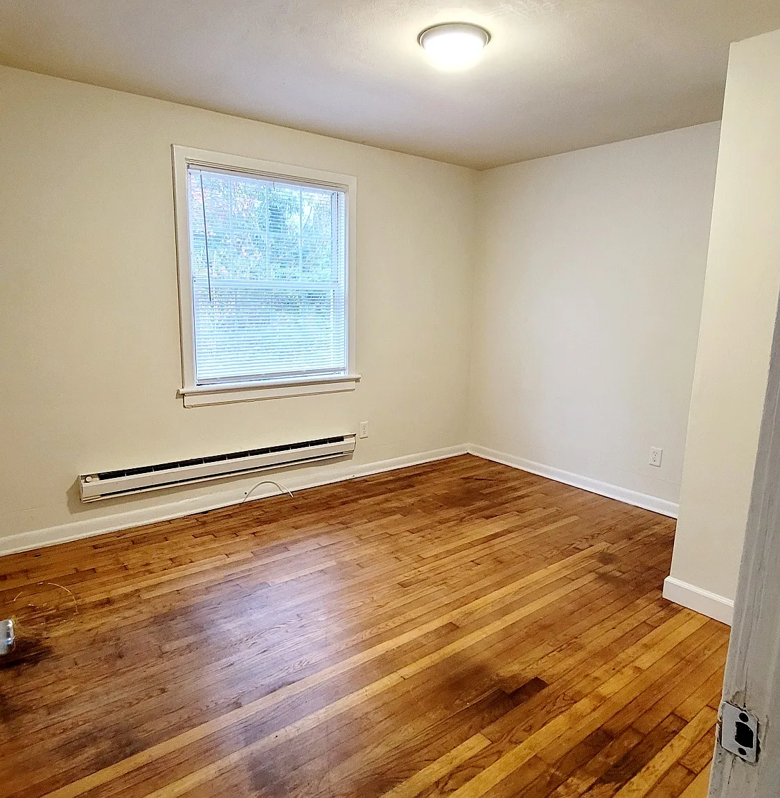 2 bed, 650 sqft, $1,195 — Photo 4