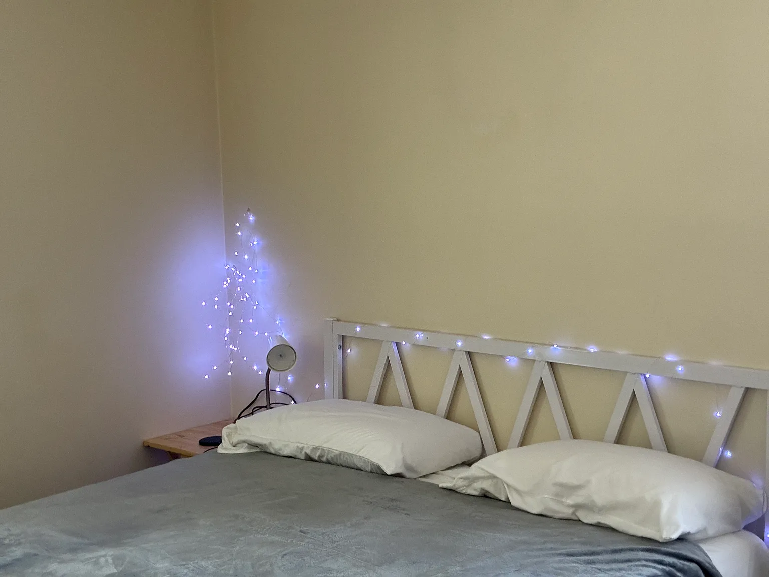 3 bed, 1000 sqft, $1,000 — Photo 2