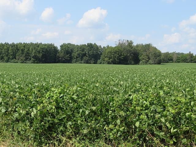 2nd image of 0 Childress Rd