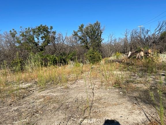 3rd image of 55 Cedar Tree Ln