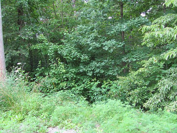 2nd image of Sherington Lane