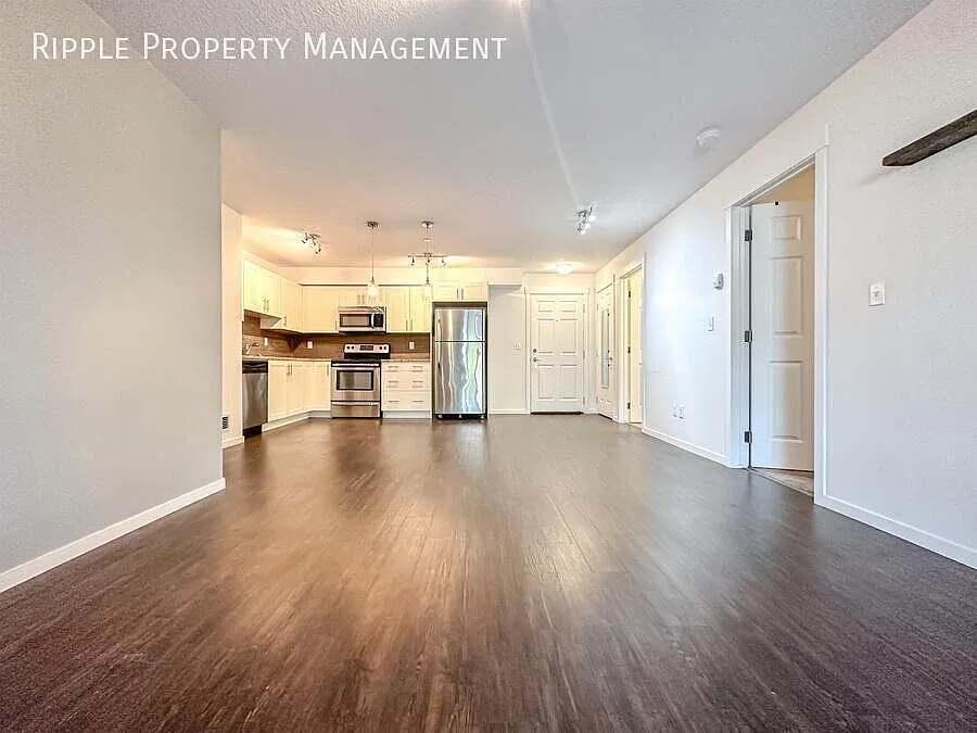 Modern 2 Beds, 2 Baths Apartment/Condo | 2 Pets Allowed. 20lbs Max — Photo 4