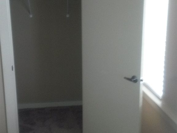 Downstairs Bedroom Closet