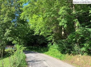Tbd Hogum Hollow Rd, Roan Mountain, TN 37687