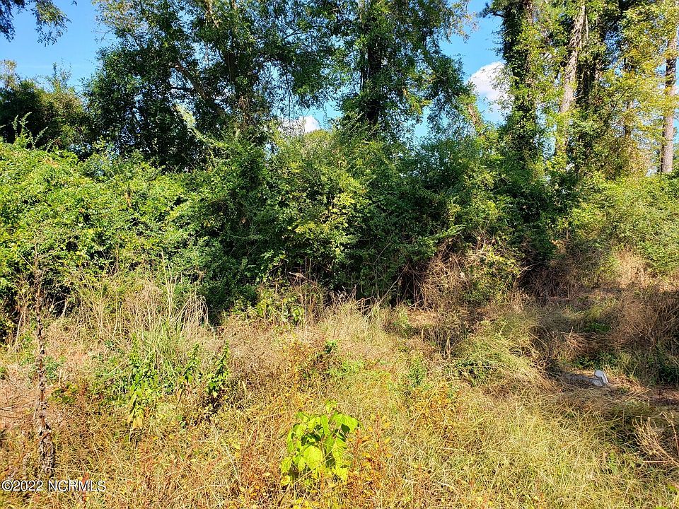 2nd image of 0.3444ac Oak Street