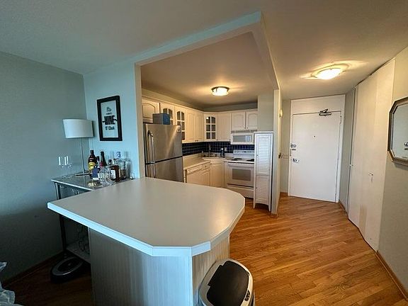 4th image of 1560 N Sandburg Ter APT 3809