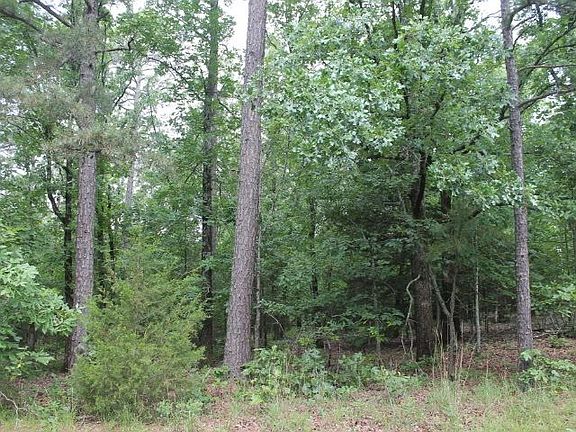 3rd image of LOT 19 Bayview Heights Dr Lot 19