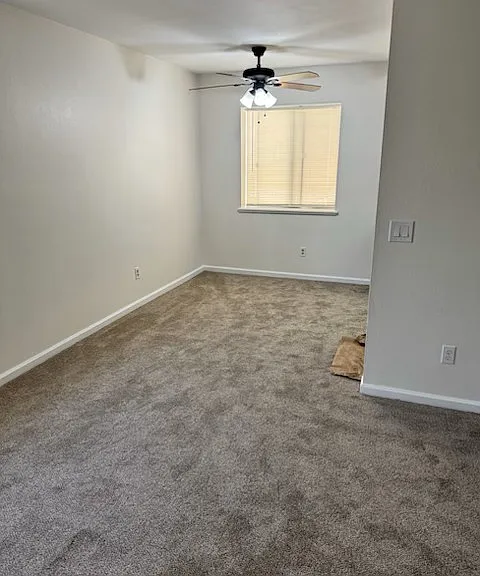 219 Daisy Ave — Photo 4