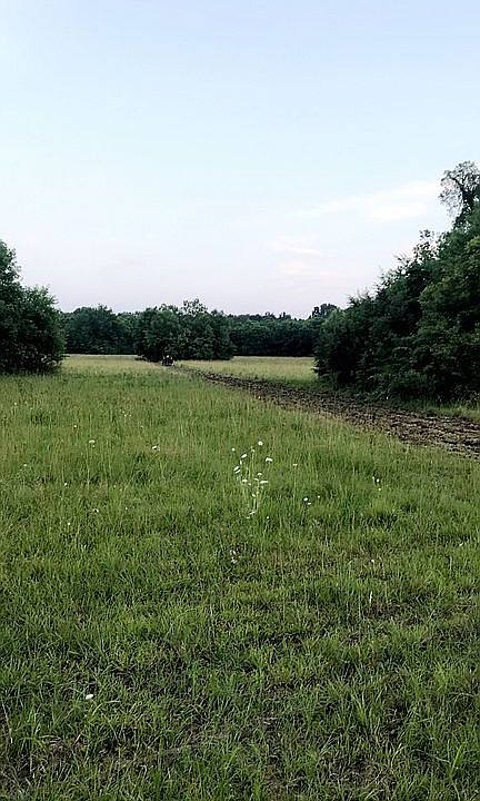 2nd image of 0 Hwy 182 East Starkville