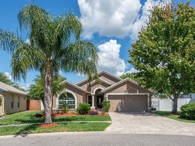 1008 Torreya Way, Odessa, FL, 33556