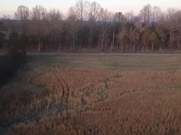 0 Yeaman Olaton Rd, Olaton, KY 42361