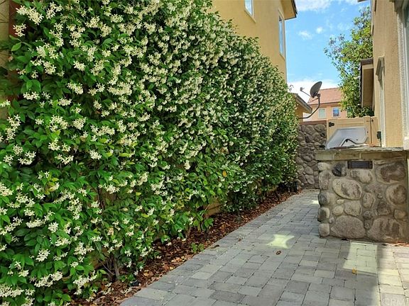 4th image of 34146 Carissa Dr