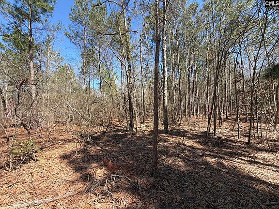 4th image of Bhl 13 Boise Cascade Rd #Bhl-13