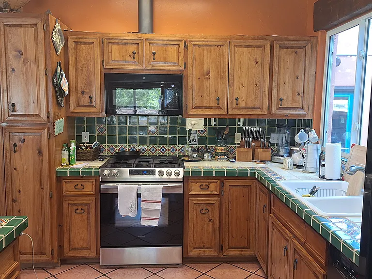 307 Falls Creek Cir — Photo 3