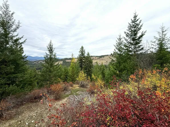 91 Edgewood Ln, Curlew, WA 99118