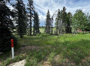 199 Joshua Rd, Divide, CO 80814