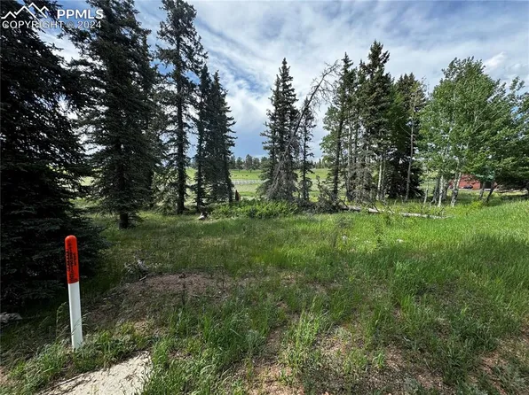 199 Joshua Rd, Divide, CO 80814