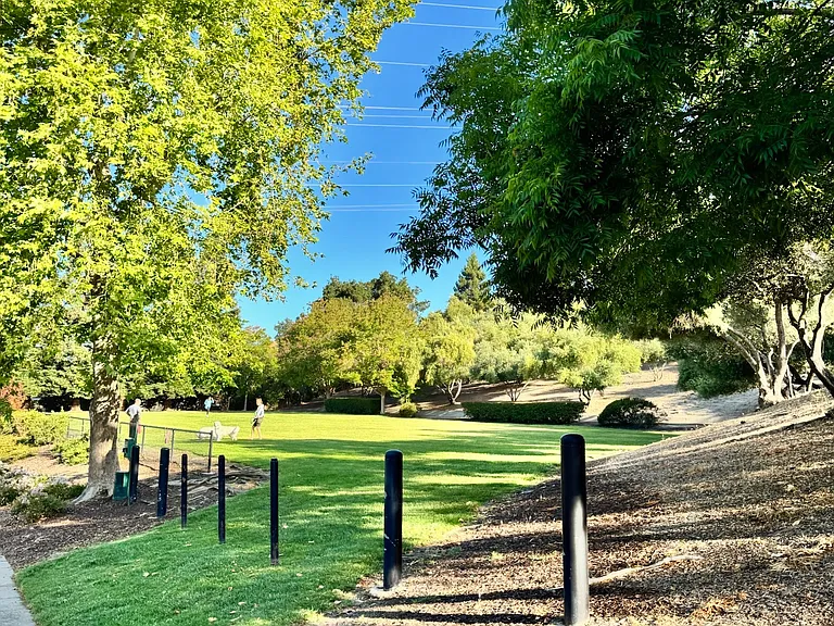 Large dog park with well-maintained green areas