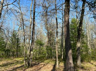 11304 N Irons Rd, Irons, MI 49644