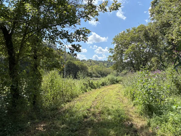 0 Cathcart Rd Lot 1, Frankewing, TN 38459