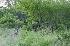3rd image of 5816 Fm 673