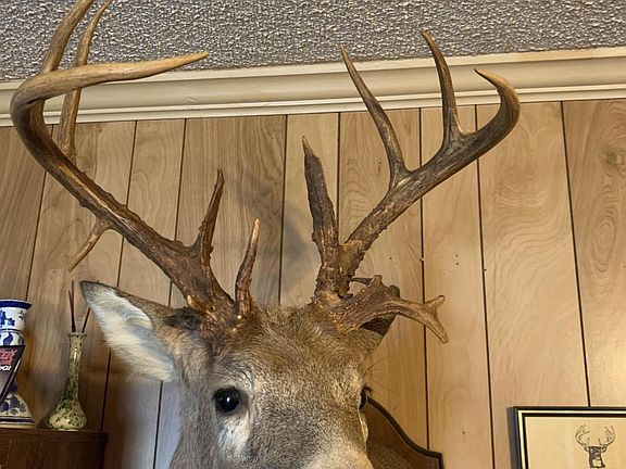 24 point deer from this property; Property borders numerous large hunting/timber tracts.