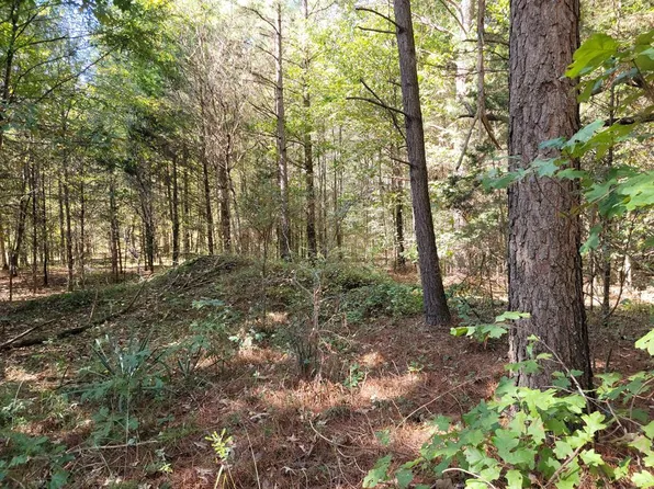 33 Zig Zag Rd, Big Sandy, TN 38221