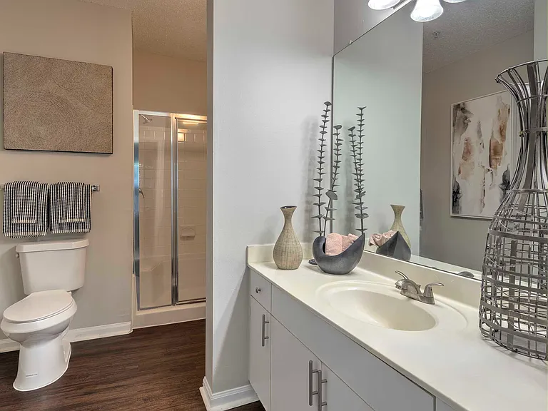 Spacious bathroom with large vanity and walk-in shower