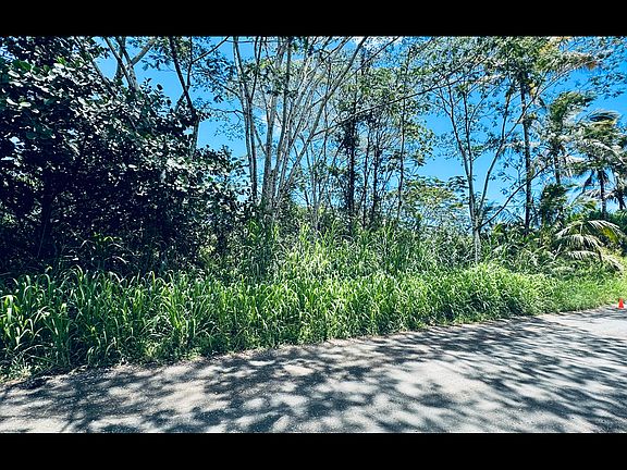 3rd image of 19th Avenue Manako Lot 280