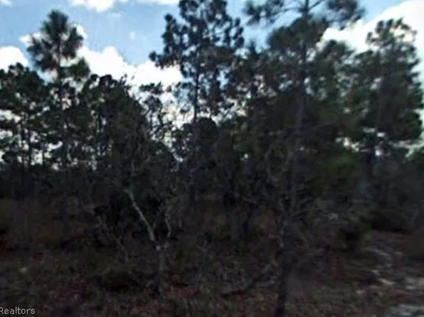 252 Sunnyside Dr, Lake Placid, FL 33852