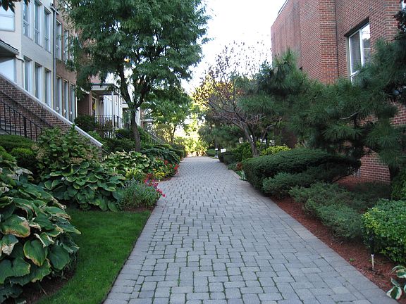 2nd image of 50 Kings Ct #50