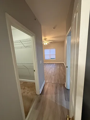 10671 Hill Point Ct #10671 Photo 1