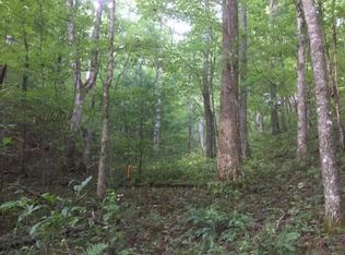 Owl Creek Rd, Hiawassee, GA 30546