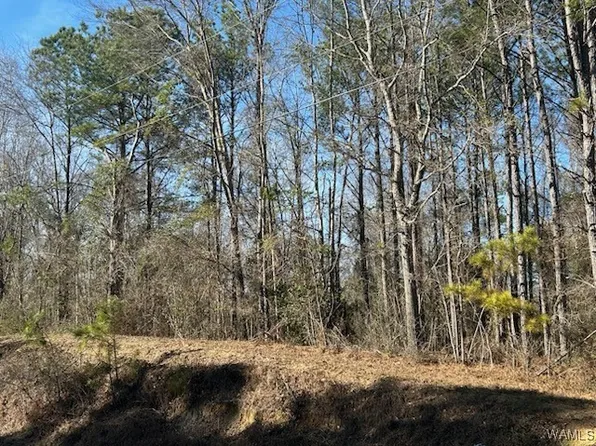 10.03 Ac Highway Hwy #82-86, Gordo, AL 35466