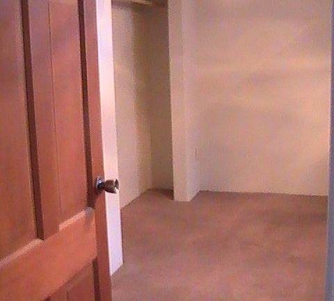 320 Palm (2)_05292014