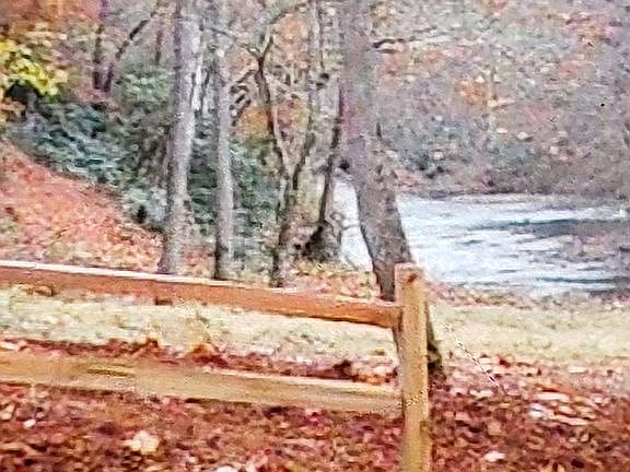 5th image of LOT 54 Brasstown Prosperity Dr