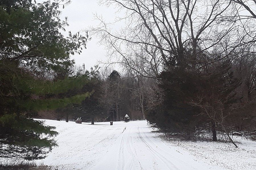 2nd image of 11273 Country Ln