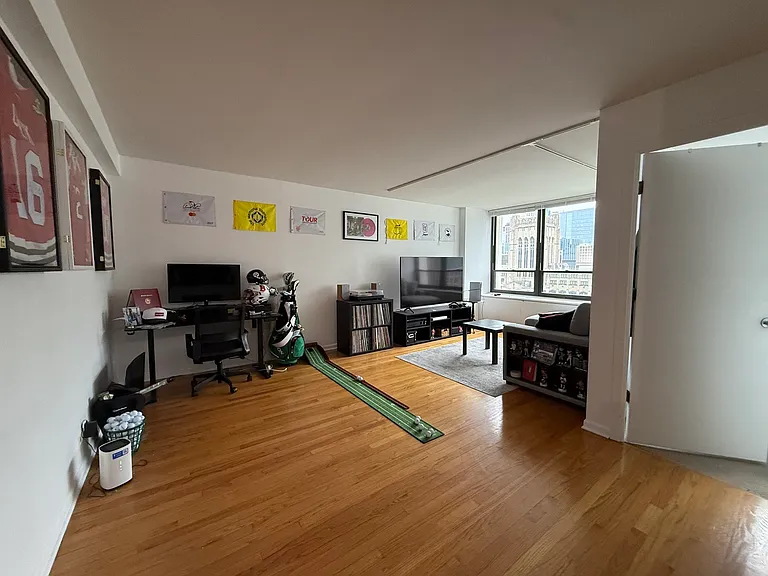 222 E Pearson St #2406 — Photo 6