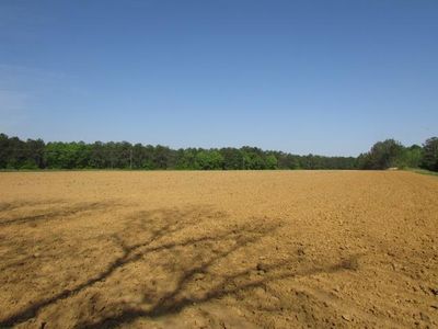 29 Thornton Rd, Morris, GA, 39867