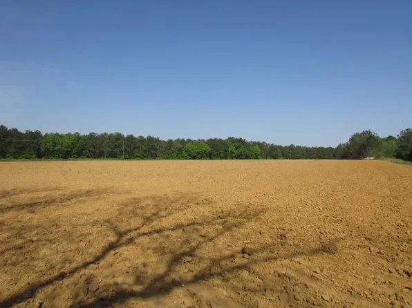 29 Thornton Rd, Morris, GA 39867