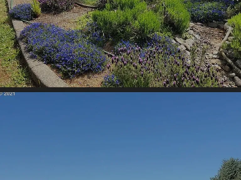 95883 Cape Dr — Photo 13