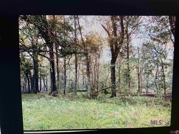 1-B-2 Line Rd, Ethel, LA 70730