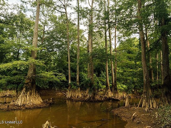 27th image of this home