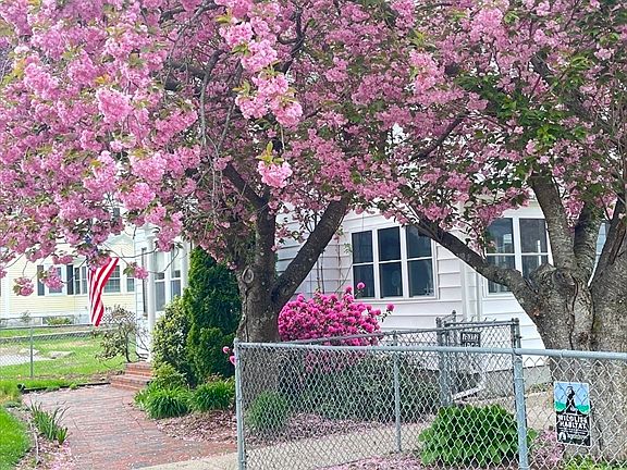 3rd image of 45 Hayes Ave