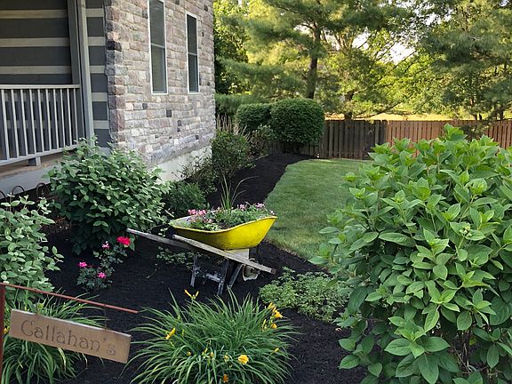 More professional landscape